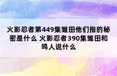 火影忍者第449集雏田他们指的秘密是什么 火影忍者390集雏田和鸣人说什么